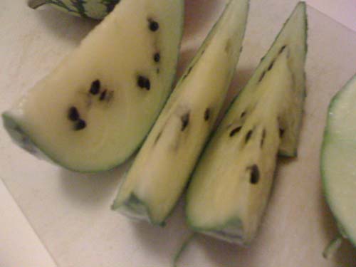 Yellow watermelon